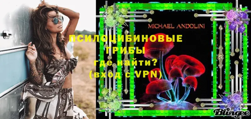 купить  сайты  Карачев  Галлюциногенные грибы Psilocybe 